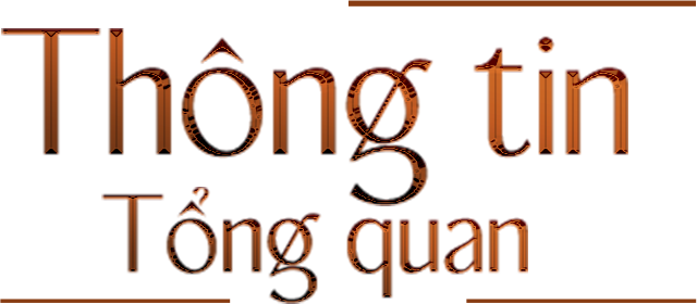 Thông tin tổng quan